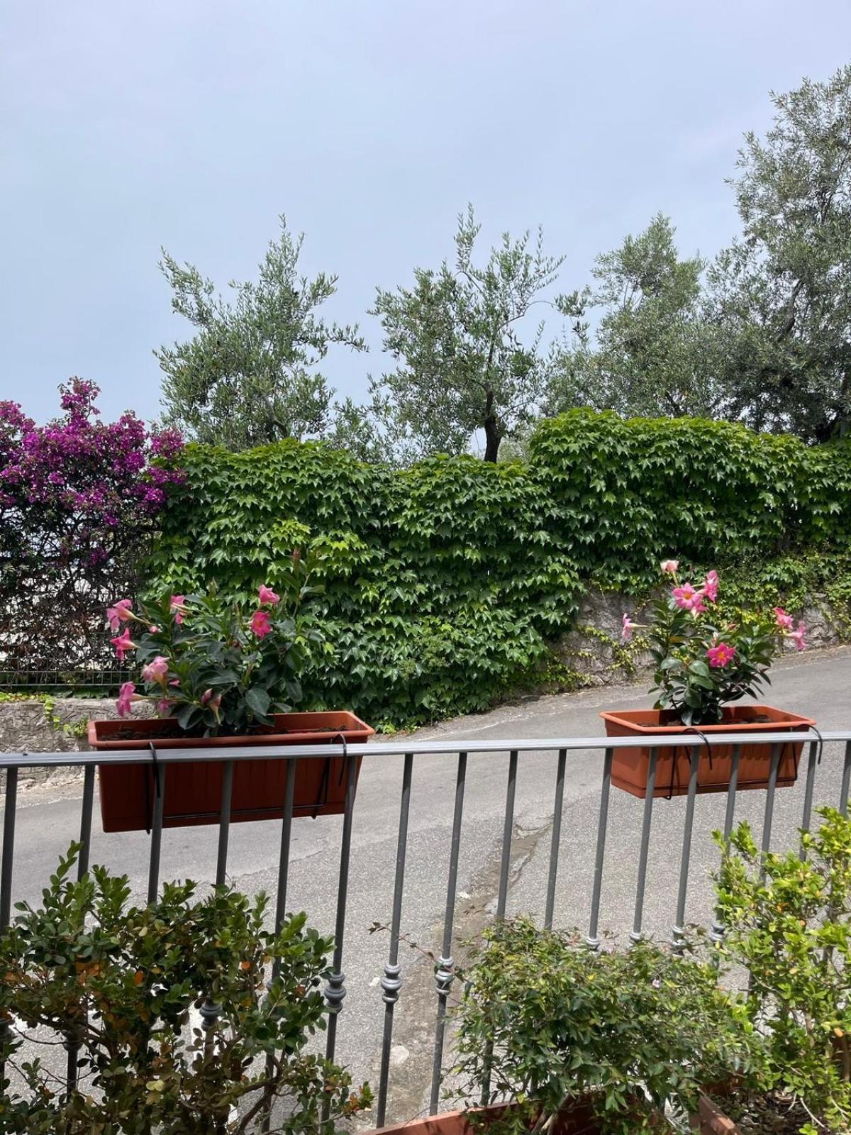 Villa Valentina Suite ماسّا لوبْرينسِ المظهر الخارجي الصورة